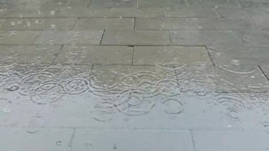 Sel, yağmur mevsimi ve şiddetli yağmurdur. Yakın çekim yağmur damlaları. Yaz veya sonbahar yağmur damlaları şehirdeki asfalta düşer ve büyük bir su birikintisine dönüşür, sokakları sel basar..