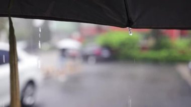 Bulanık şehirli arabalı Şemsiye 'de Yavaş Yağmur Damlaları Hareketi. 