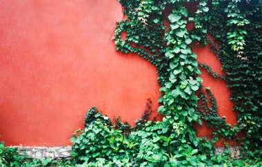 Eski kırmızı duvar ve yeşil sürüngen, fotokopi alanı olan retro duvar, dış model