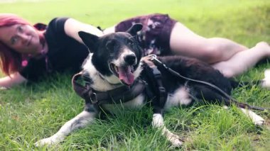 Yeşil bir parkta yeşil çimlerde otururken köpeği kucaklayan gülümseyen kadın. Hayvan hayatı konsepti.