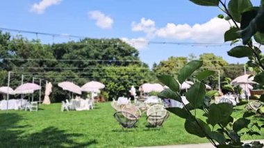 Güneşli bir günde bahçede masa ve hasır sandalye, açık havada restoran veya kafe için oturma alanı ve ormanda küçük bir bahçe..