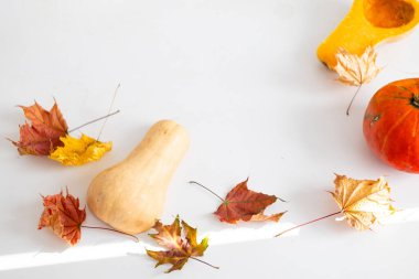 Sonbahar kompozisyonu - balkabakları, beyaz arka planda izole sonbahar yaprakları, yaratıcı düz döşeme, üst manzara, pankart. Mevsimlik sonbahar konsepti.