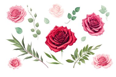 Kırmızı ve pembe yarım tonlu güller, el çizimi illüstrasyon elemanları renkli. Beyaz arka planda izole gül çiçekleri. Mutlu Sevgililer Günü kartpostalları için suluboya elementler çizimi.