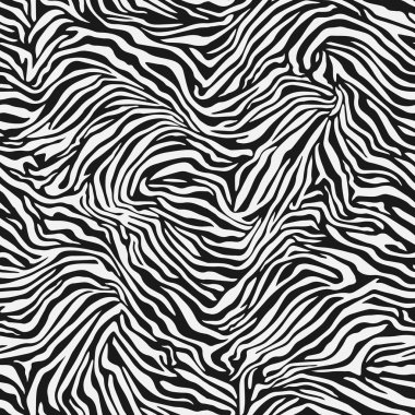Zebra çizgileri olan kusursuz bir desen. Siyah ve beyaz renkli moda dokusu. Egzotik vahşi hayvan kamuflaj dokusu. Vektör illüstrasyon hayvan kürkü izi.