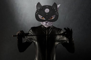 Contemporary art collage. Beautiful dominant mistress in latex body, gloves and cat head with leather fetish cat mask posing with riding crop