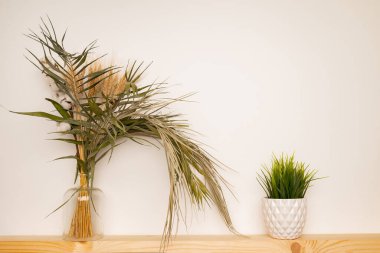 Ev yapımı ahşap bir rafta, şişede saksı ve kurutulmuş çiçek. Ön manzara. Metin için yer, kopyalama alanı, modelleme