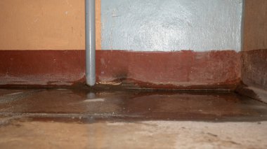 Su baskını, hasar, boya ve küf..