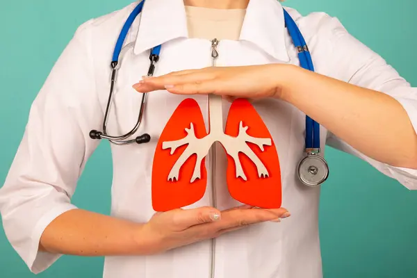 stock image Woman doctor holding lungs model in hand on blue background