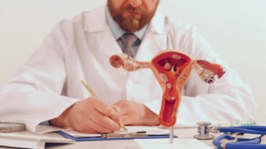 Anatomik model kadın üreme organları ve hapları olan bir doktor. Koruma, tedavi, önleme kavramı