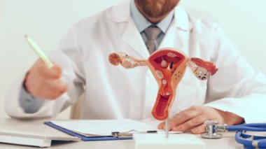 Erkek doktor, örnek dişi üreme organlarını büyüteç kullanarak gösteriyor. Erken teşhis ve tedavi.