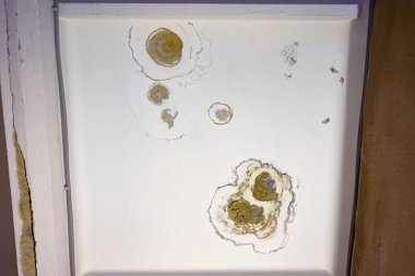 Su sızıntısı ve sızıntı bir binanın çatısında