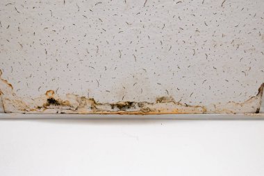 Yağmur suyu ya da zemin ısıtma sistemlerini su basması, hasara neden olması, boya ve küf soyulması.