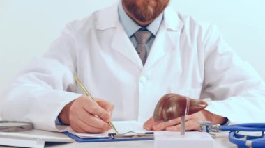 Erkek doktor, büyüteç kullanarak insan karaciğerinin modelini gösteriyor. Erken teşhis ve tedavi.
