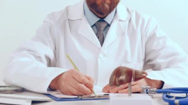 Doktor masasında anatomik model insan karaciğeri var.