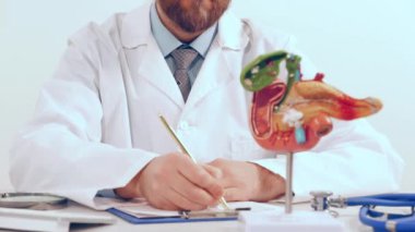 Doktor ofisinde anatomik model pankreas ellerle katlanmış bir şekilde çalışıyor.