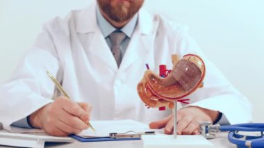 Doktor, ofisindeki anatomik mide modelini işaret ediyor.