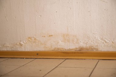 Yağmur suyu ya da zemin ısıtma sistemlerini su basması, hasara neden olması, boya ve küf soyulması