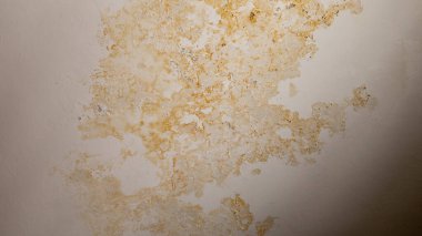 Su baskını, hasar, boya ve küf..