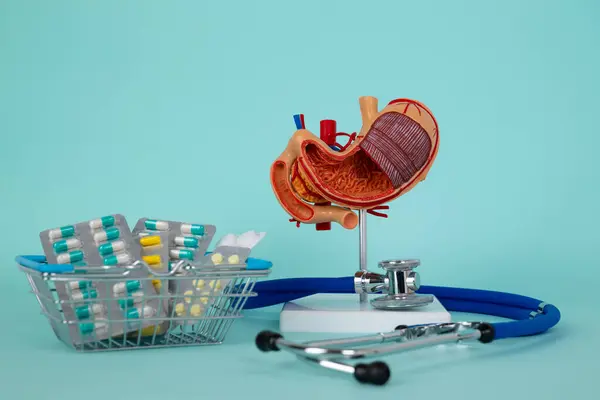 stock image mockup stomach and stethoscope with a basket of pills lies on a blue background