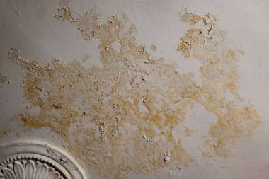 Su baskını, hasar, boya ve küf..