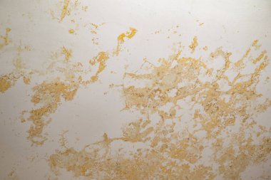 Su baskını, hasar, boya ve küf..