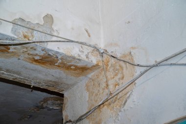 Su borularının sızıntısından dolayı hasar tavanı. Konut sorunu gözlemi