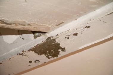 Su baskını, hasar, boya ve küf..