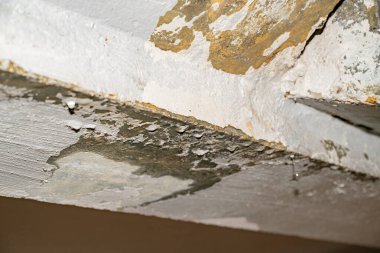 Su baskını, hasar, boya ve küf..