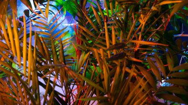 Tropikal yapraklardan oluşan yaratıcı floresan renk düzeni. Düz neon renkler uzanıyordu. Doğa konsepti.