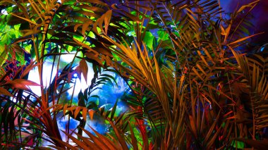 Tropikal yapraklardan oluşan yaratıcı floresan renk düzeni. Düz neon renkler uzanıyordu. Doğa konsepti.