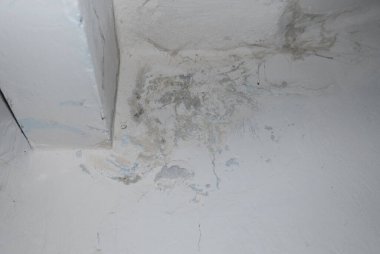 Eski ofis odasındaki çatıyı sızdırmanın sonuçları..