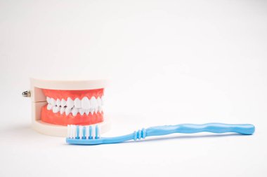 Diş macunu modeli ve beyaz arka planda mavi diş fırçası..