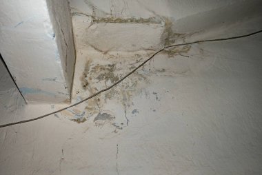 Eski ofis odasındaki çatıyı sızdırmanın sonuçları..