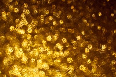 Noel arkaplanı. Bokeh odaklı ışıklar ve yıldızlarla şenlikli soyut arkaplan.