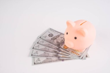 Beyaz arka planda Amerikan dolarları üzerine domuz kumbarası.