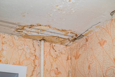 Su borularının sızıntısından dolayı hasar tavanı. Konut sorunu gözlemi
