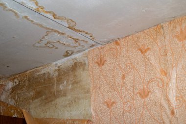 Su borularının sızıntısından dolayı hasar tavanı. Konut sorunu gözlemi