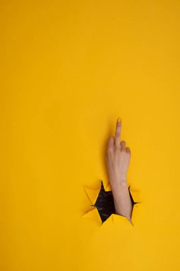 Woman's hand showing middle finger, fuck on a yellow background. Hand gestures