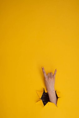 Kadın eli rock 'n roll yapıyor, parti, sarı arka planda keçi