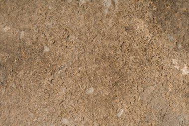 Hard Plywood sert doku arka planı, eski modern ahşap doku.