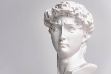 Heykel. İzole edilmiş beyaz bir arkaplanda. David 'in kafasının alçıtaşı heykeli. Erkek.