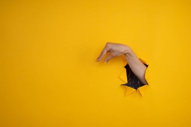 El, izole bir arkaplanda ördek sembolü gösteriyor