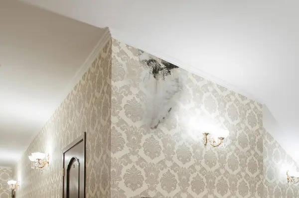 stock image Mold inside hotel wall. Flooding rainwater or floor heating systems, causing damage, peeling paint and mildew.