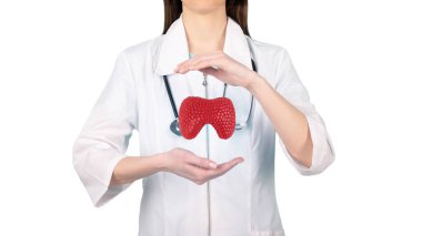 Female doctor holding virtual Thyroid Gland in hand. clipart