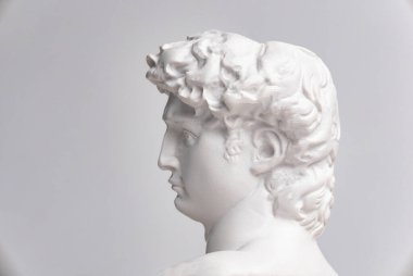 Heykel. İzole edilmiş beyaz bir arkaplanda. David 'in kafasının alçıtaşı heykeli. Erkek.