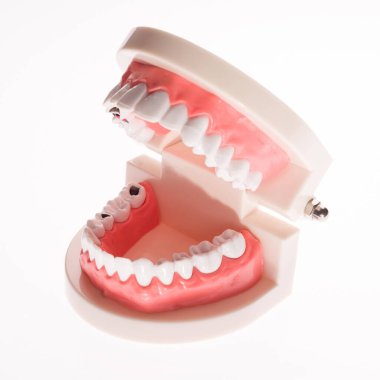 Beyaz arkaplan üzerindeki diş çene düzeni eğitiliyor - resim