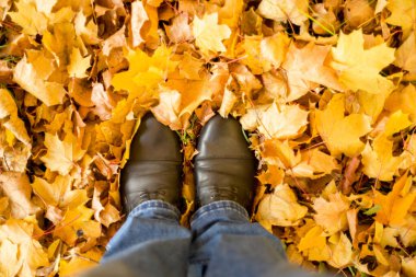 Sonbahar, sonbahar, yapraklar, bacaklar ve ayakkabılar. Sonbahar yapraklarında çizmeli bacakların kavramsal görüntüsü. Doğada yürüyen ayaklar