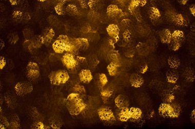 Noel arkaplanı. Bokeh odaklı ışıklar ve yıldızlarla şenlikli soyut arkaplan.