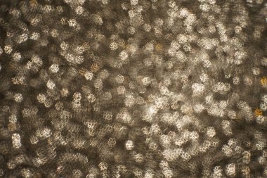 Noel arkaplanı. Bokeh odaklı ışıklar ve yıldızlarla şenlikli soyut arkaplan.