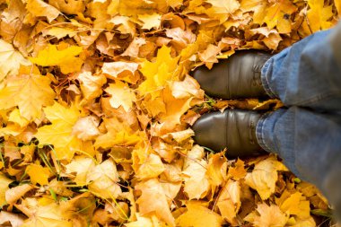 Sonbahar, sonbahar, yapraklar, bacaklar ve ayakkabılar. Sonbahar yapraklarında çizmeli bacakların kavramsal görüntüsü. Doğada yürüyen ayaklar